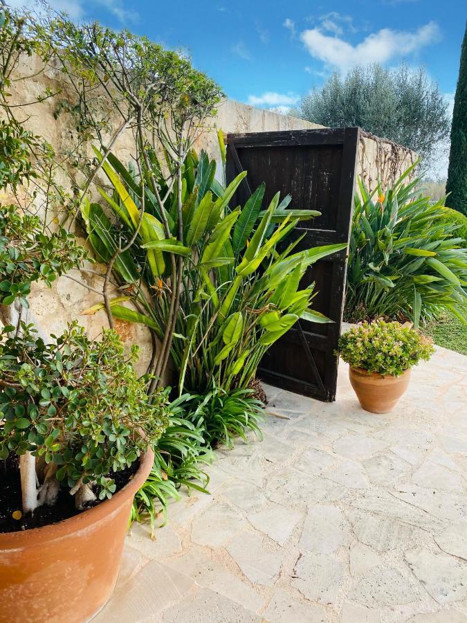 Moderne Finca Can Vicento - Heizung - Pizzaofen Porto Cristo Eksteriør bilde