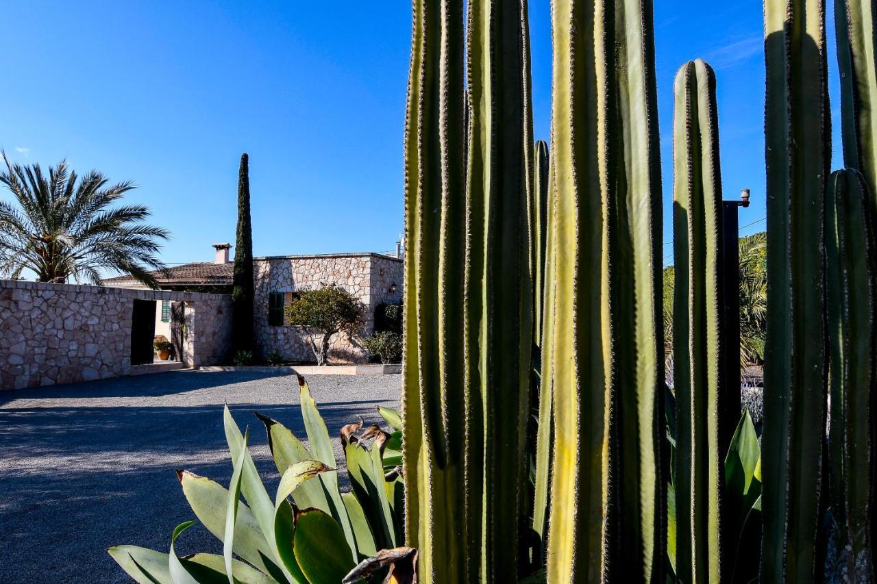 Moderne Finca Can Vicento - Heizung - Pizzaofen Porto Cristo Eksteriør bilde